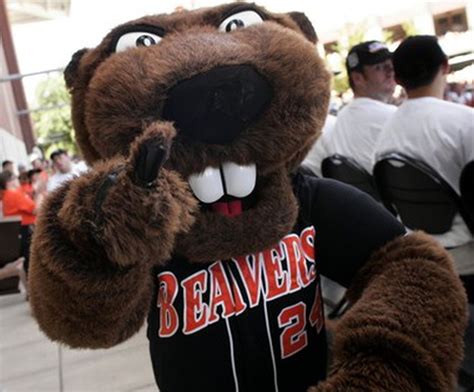Benny Beaver Merchandise: The Business of Mascot Branding